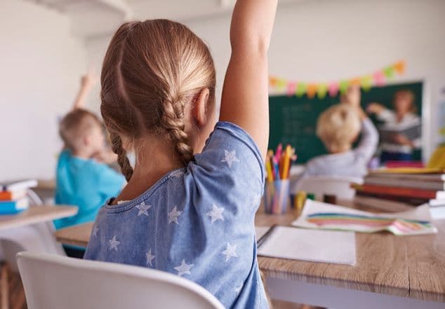 Grado en Maestro en Educación Primaria (Presencial)